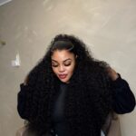 Burmese Island Curls